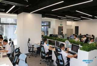 江干区绿植养护花卉服务价格