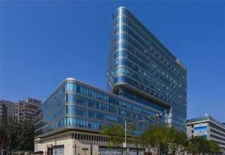 上海纯手工宠物磨牙零食口碑推荐