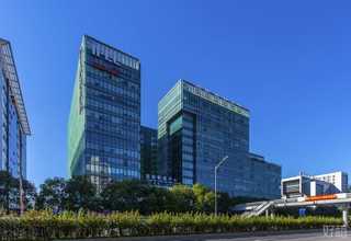 深圳BD空间转录组技术支持