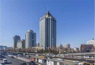 盐湖区桃树树苗销售厂家