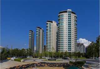 87631-3M8/M12端子连接器